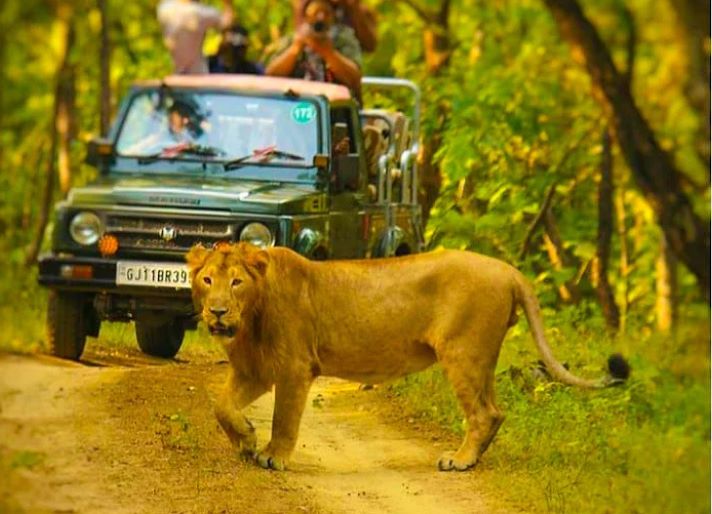 National Park Junagadh
